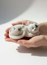 Lade das Bild in den Galerie-Viewer, Sleeping cat
