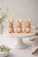 Lade das Bild in den Galerie-Viewer, Mini Rabbit Set
