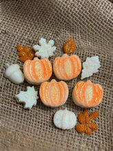 Lade das Bild in den Galerie-Viewer, Glitter Pumpkin Fall Wax melts

