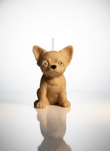 Lade das Bild in den Galerie-Viewer, Chihuahua
