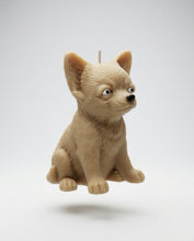 Lade das Bild in den Galerie-Viewer, Chihuahua
