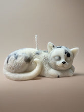 Lade das Bild in den Galerie-Viewer, Sleeping cat
