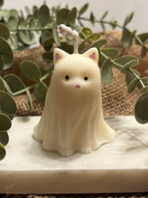 Lade das Bild in den Galerie-Viewer, Cat Ghost

