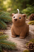 Lade das Bild in den Galerie-Viewer, Brown Bear
